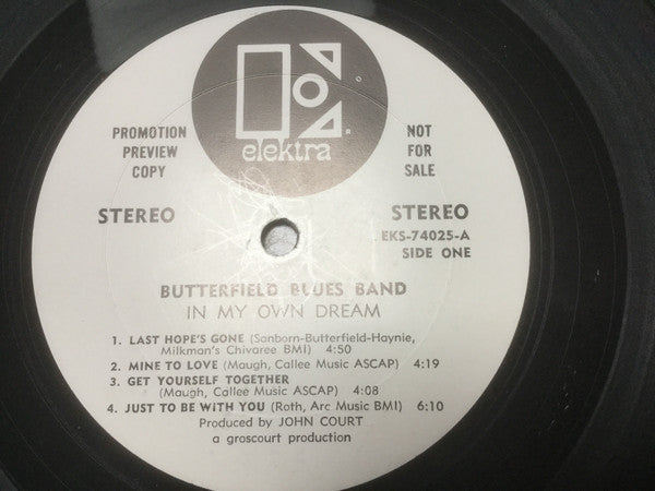 The Butterfield Blues Band* - In My Own Dream - LP