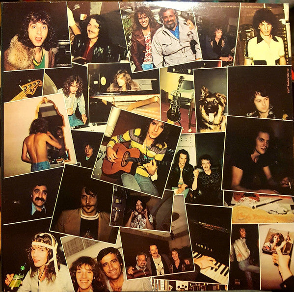 Peter Frampton - I'm In You - LP