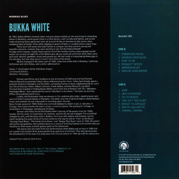 Bukka White - Worried Blues - LP