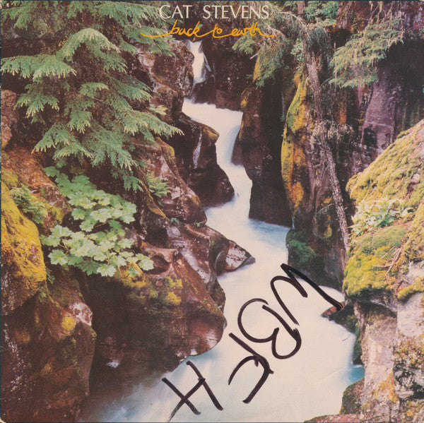 Cat Stevens - Back To Earth - LP