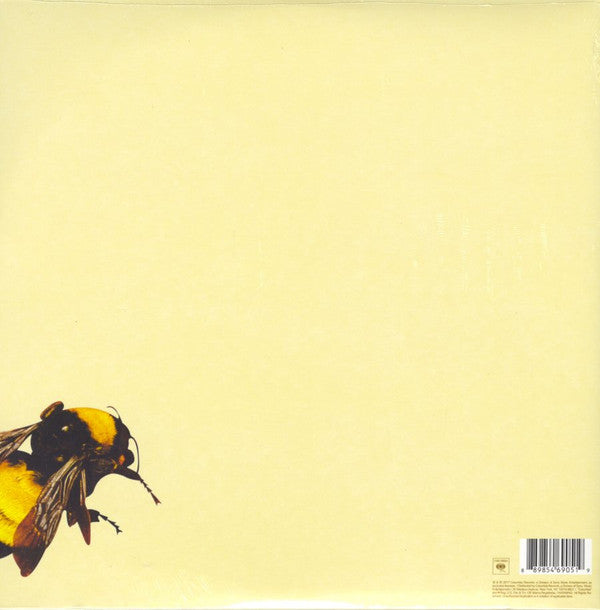 Tyler, The Creator - Scum Fuck Flower Boy - LP