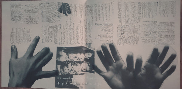 Tune-Yards - I Can Feel You Creep Into My Private Life - LP
