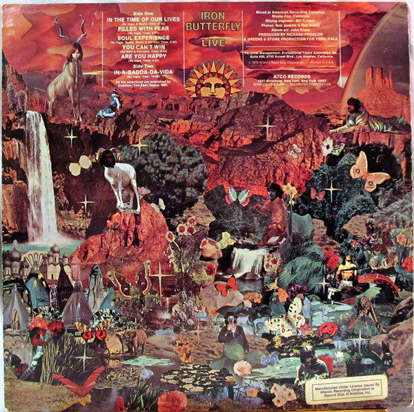 Iron Butterfly - Live - LP