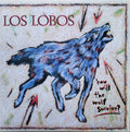 Los Lobos - How Will The Wolf Survive?