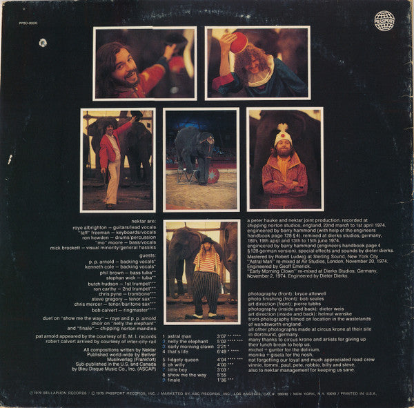 Nektar - Down To Earth - LP