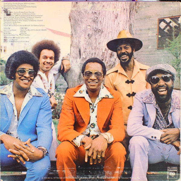 Ramsey Lewis - Don't It Feel Good - LP