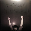 Jeff Tweedy - Warm - LP