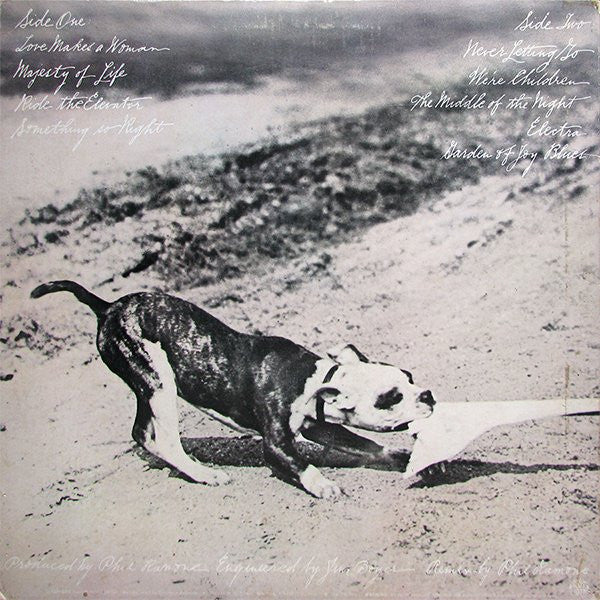 Phoebe Snow - Never Letting Go - LP