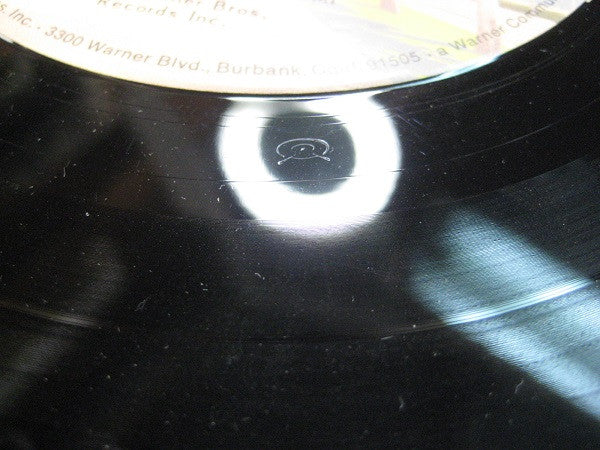 Bonnie Raitt - Home Plate - LP
