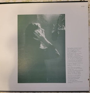 Dan Fogelberg - Home Free - LP
