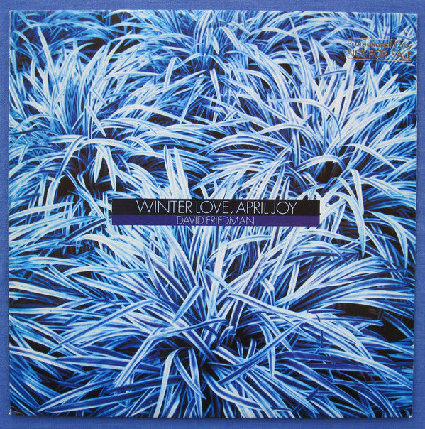 David Friedman - Winter Love, April Joy - LP