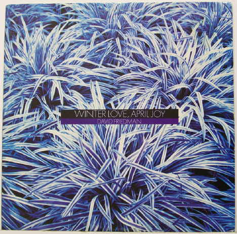David Friedman - Winter Love, April Joy - LP
