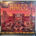 Public Enemy - What You Gonna Do When The Grid Goes Down? - LP