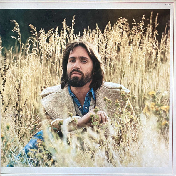 Dan Fogelberg - Phoenix - LP