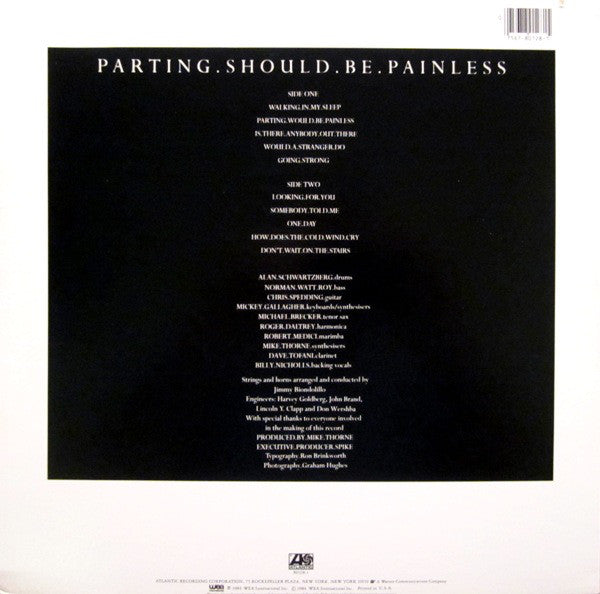Roger Daltrey - Parting Should Be Painless - LP