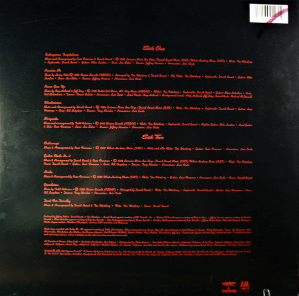 Tim Weisberg - Outrageous Temptations - LP