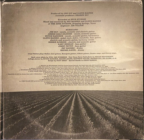 The Flatlanders - Treasure Of Love - LP