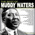 Waters Muddy Best Of Muddy Waters 180g GATEFOLD DOL LP