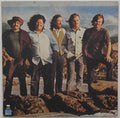The Turtles - Turtle Soup - LP