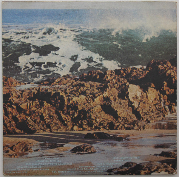 The Turtles - Turtle Soup - LP