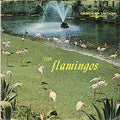 The Flamingos - Flamingos - LP