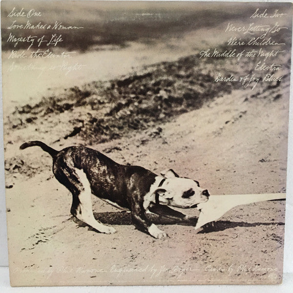 Phoebe Snow - Never Letting Go - LP