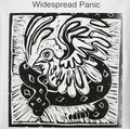 Widespread Panic - Widespread Panic - LP