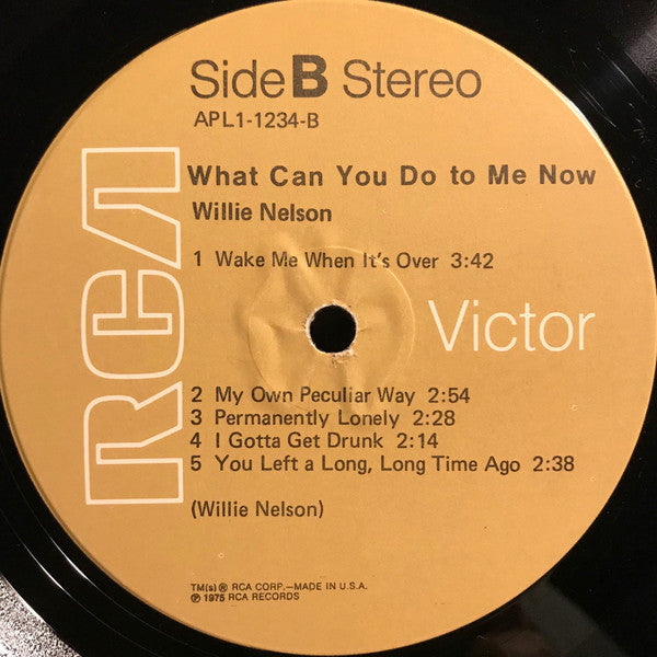 Willie Nelson - What Can You Do To Me Now - LP