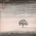 Genesis - Wind & Wuthering - LP