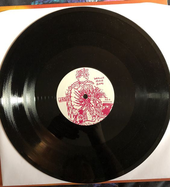 Sonic Youth - Walls Have Ears - LP