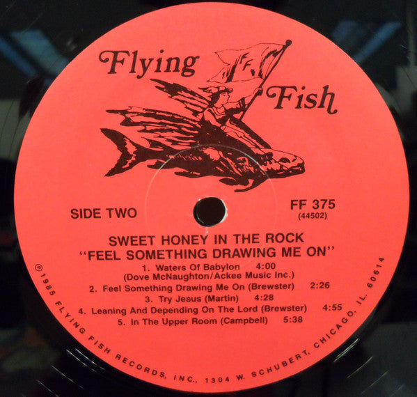 Sweet Honey In The Rock - Feel Something Drawing Me On - LP