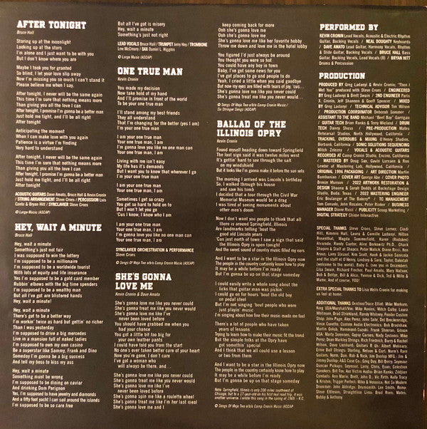 REO Speedwagon - Building The Bridge - LP