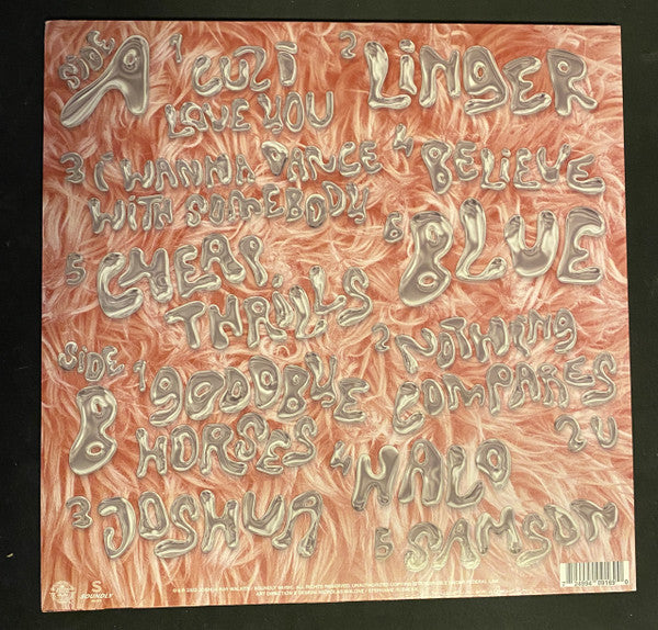 Joshua Ray Walker - What Is It Even? - LP