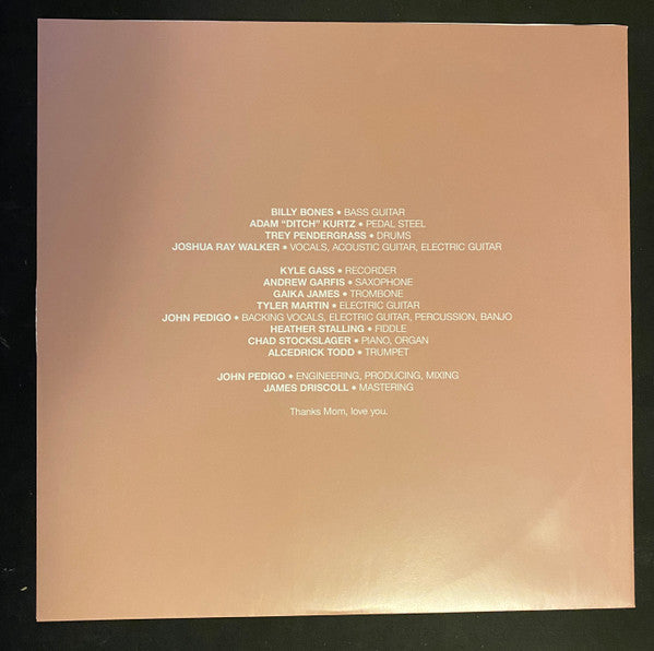 Joshua Ray Walker - What Is It Even? - LP