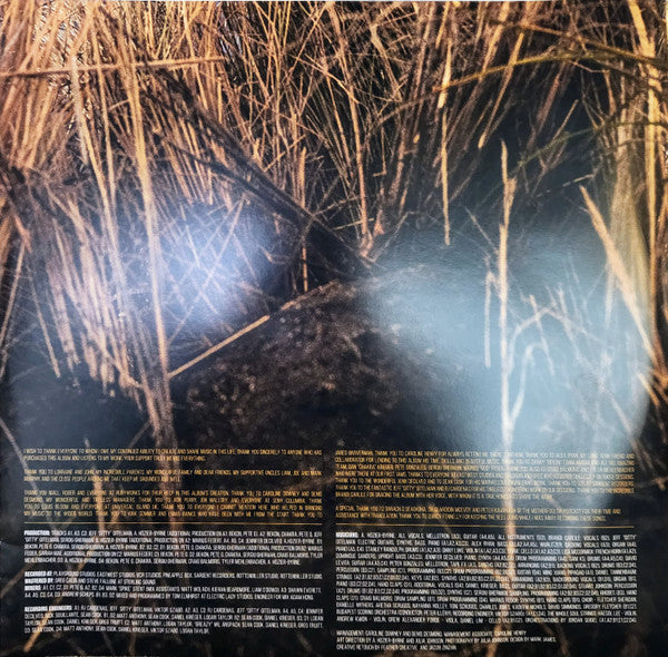 Hozier - Unreal Unearth - LP