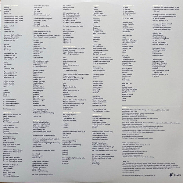 Wilco - Cousin - LP
