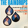 The Raindrops - The Raindrops - LP