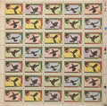Hummingbird - Hummingbird - LP