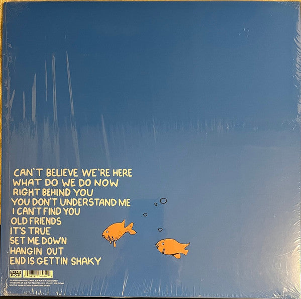 J Mascis - What Do We Do Now - LP