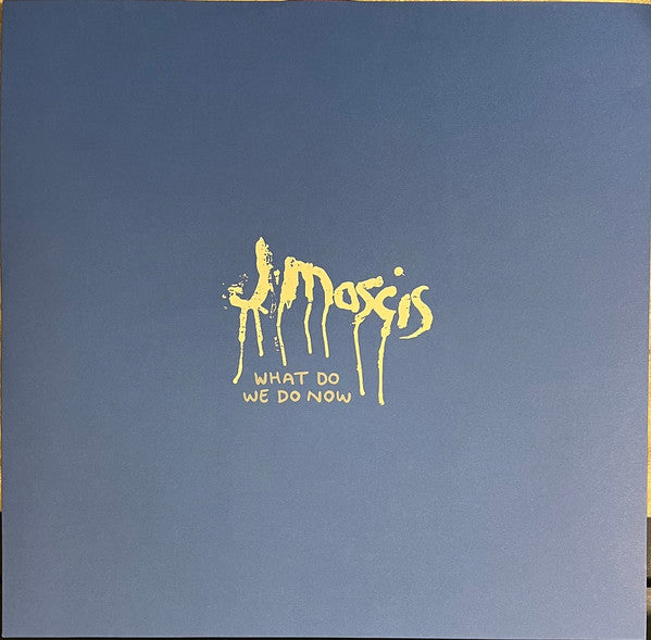 J Mascis - What Do We Do Now - LP