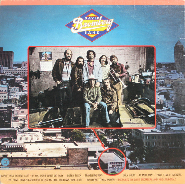 David Bromberg Band - Bandit In A Bathing Suit - LP