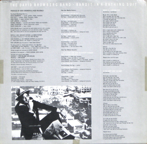 David Bromberg Band - Bandit In A Bathing Suit - LP
