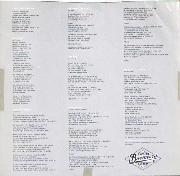 David Bromberg Band - Bandit In A Bathing Suit - LP