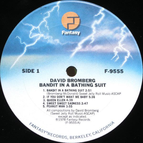 David Bromberg Band - Bandit In A Bathing Suit - LP