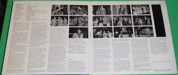 Bye Bye Birdie Original Broadway Cast With Chita Rivera, Dick Van Dyke (2), Paul Lynde, Dick Gautier, Michael J. Pollard, Susan Watson And Kay Medford - Bye Bye Birdie - LP