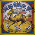 It's A Beautiful Day - Choice Quality Stuff/Anytime - LP
