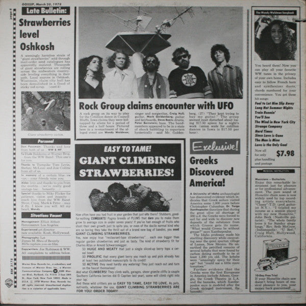 Wendy Waldman - Strange Company - LP