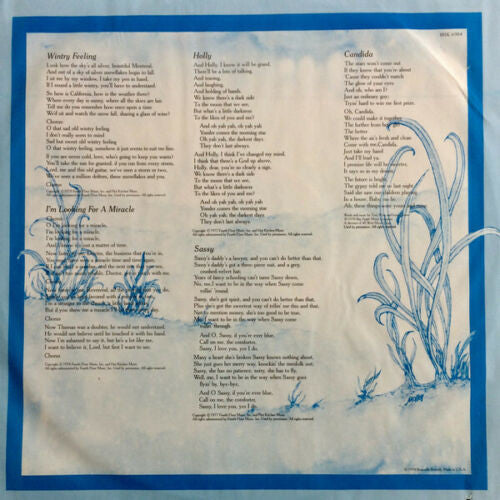 Jesse Winchester - A Touch On The Rainy Side - LP