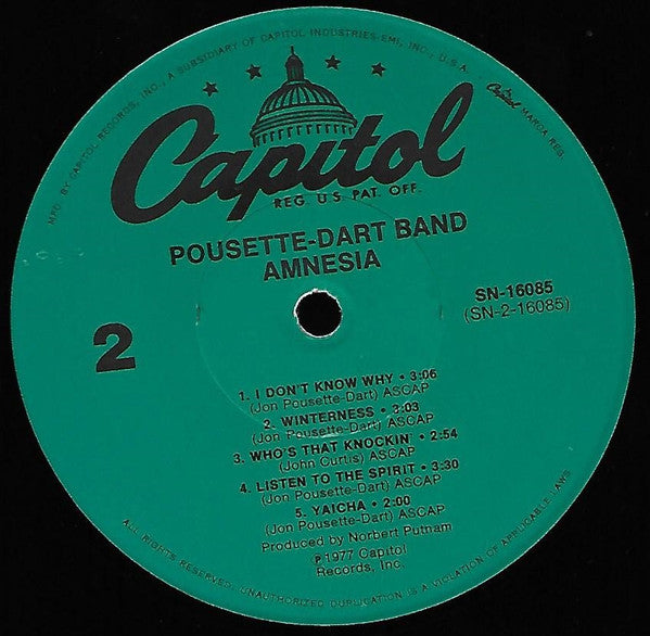 Pousette-Dart Band - Amnesia - LP