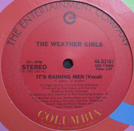 The Weather Girls - It's Raining Men - LP